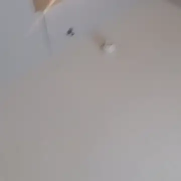 eldone82: вебкам-шоу