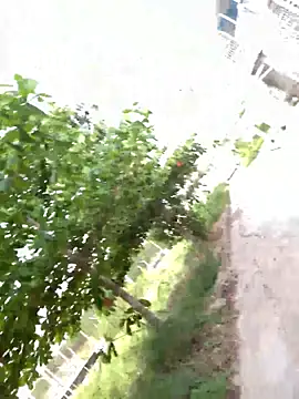 RoomExotic11 Live XXX-Chat