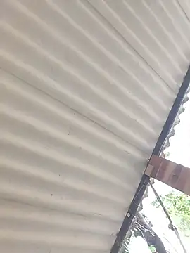 Czat XXX na żywo – SweetFortuner