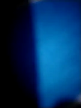 Chat XXX en directo de selva_123456