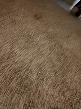 JoshingExegesis Live XXX-Chat