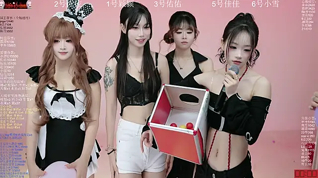 ATY1314n Webbikameraesitys