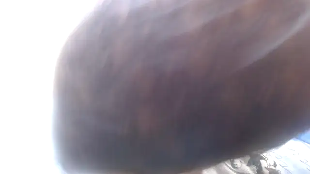 Chat XXX en directo de ThickDiva99