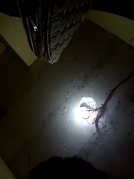 LolilolsAdjのウェブカメラショー