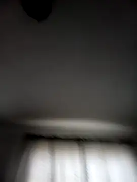 Show webcam de Linex06