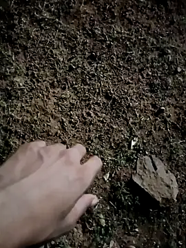 rajesh05s 网络视讯表演