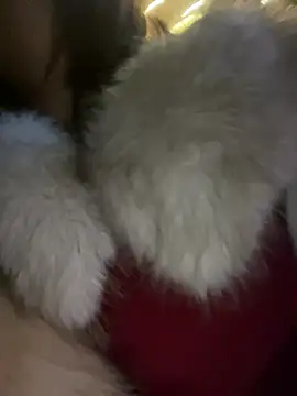 littleqiu 即時 XXX 聊天