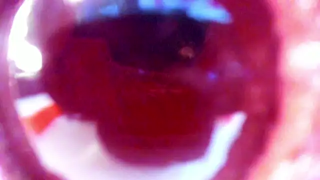 Онлайн чат XXX NikkaHOTx