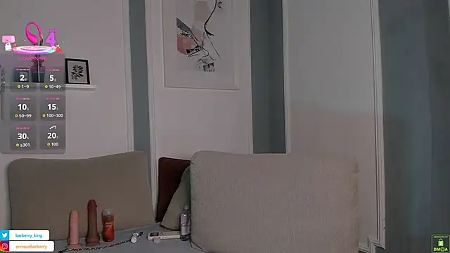 EnriqueBarberry Adlı Modelin Canlı XXX Sohbeti