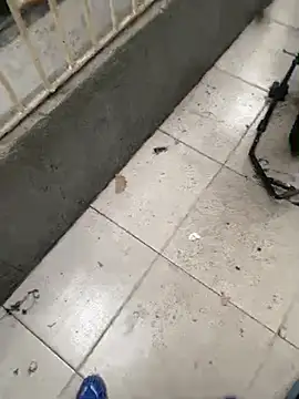 rider239n Webbikameraesitys