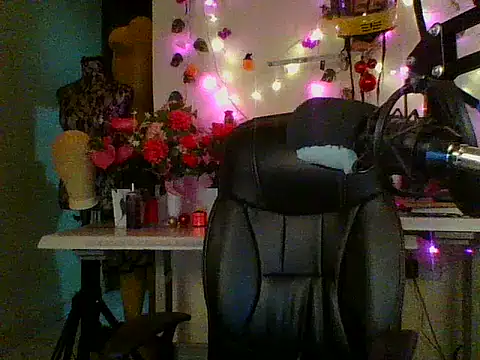 Anaconda2350 Webcam-Show