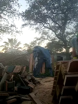 delfi6 – Live XXX-chat