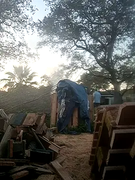 Chat XXX ao vivo de delfi6