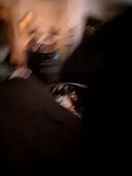 thepiper: διαδικτυακό σόου στην κάμερα