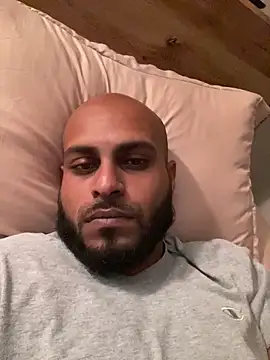 islandvybee55n Webbikameraesitys