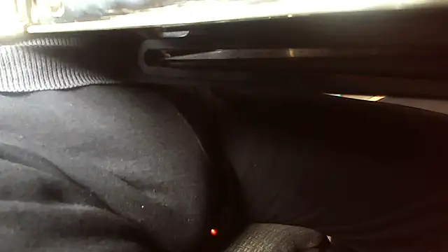 schwanzi_bear webcam show