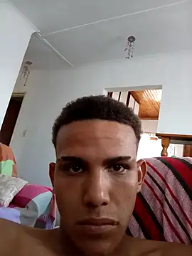 Show webcam de Linex06