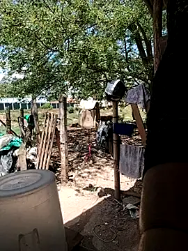 Brenda_Berck_のライブXXXチャット