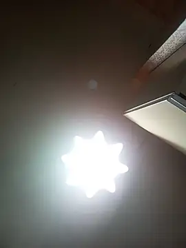 Chat XXX en directo de Lauren_Amabel