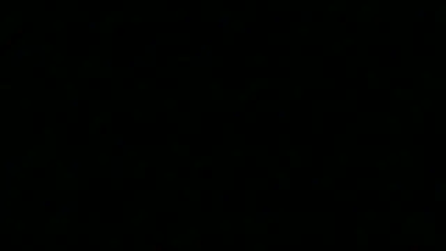 TheSexLegend Obrolan Langsung XXX