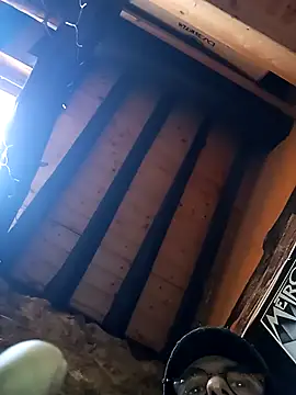 Show webcam de Oridama123