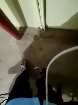 Paramkeerthi 웹캠 쇼