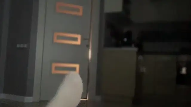 دردشة Darsy_Rox الجنسية المباشرة