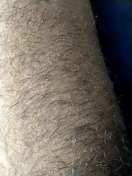 jellydicksのウェブカメラショー