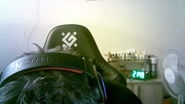 Show Webcam de SirAbuser