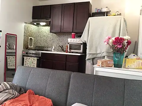 Онлайн чат XXX littyleesh1