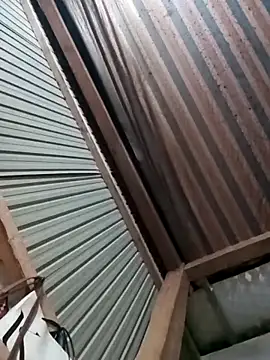 LenaCii 网络视讯表演