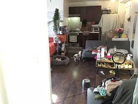 littyleesh1's Live XXX Chat