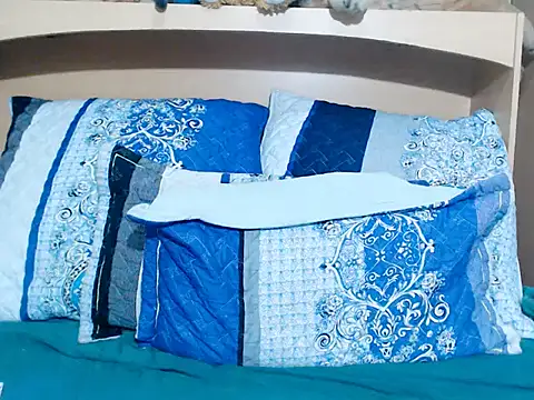 xindianillusion40のウェブカメラショー