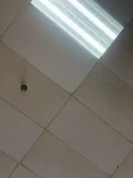 lolabunny9 Live XXX Chat