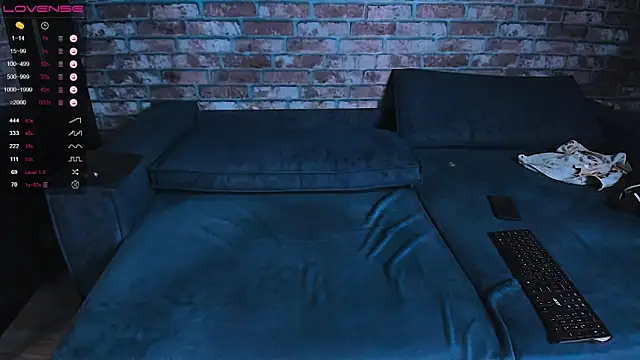 mark_normal Webcam show