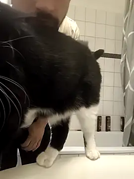 Kevoon991 라이브 XXX 채팅