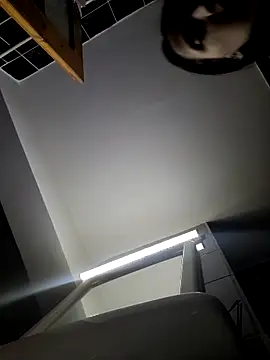 Chat +18 de bettyButterfly ao vivo