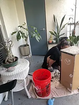 Chat +18 de sexymsbrown ao vivo