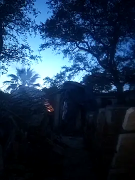 delfi6 现场XXX聊天