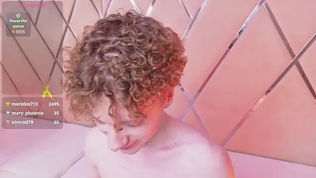 Paul_Holtn Webbikameraesitys