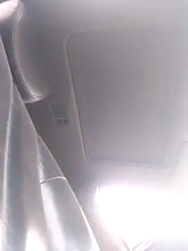 TattyFoxglove ওয়েবক্যাম শো