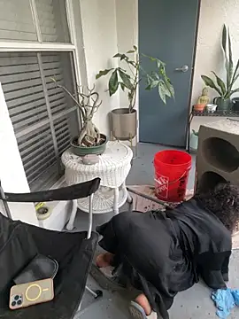 sexymsbrown – Live XXX-chat