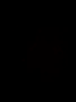 Show de Mlo69 na webcam