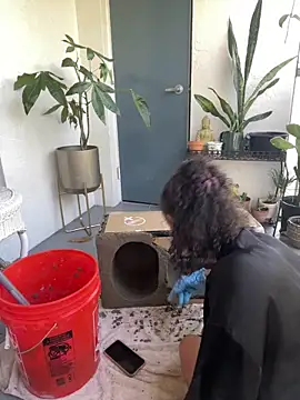 sexymsbrown Live XXX Chat