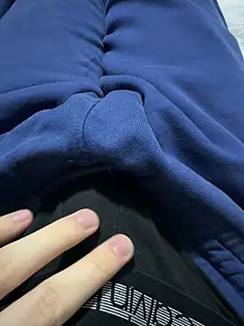 Vireontr1 Webcam-Show