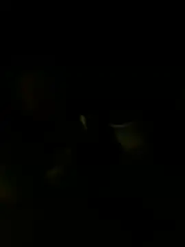 Callmedaddy9 Webcam-Show