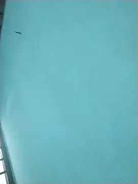 Show de webcam de Jelsbslz23