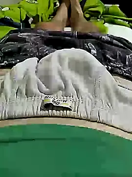 Gallanttrox's Webcam Show