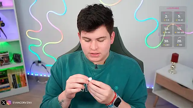 Show Webcam de EvanCorvinx