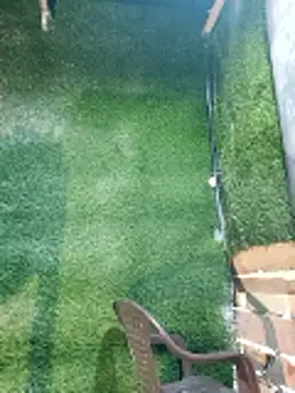 Czarnoksieznik webcam show